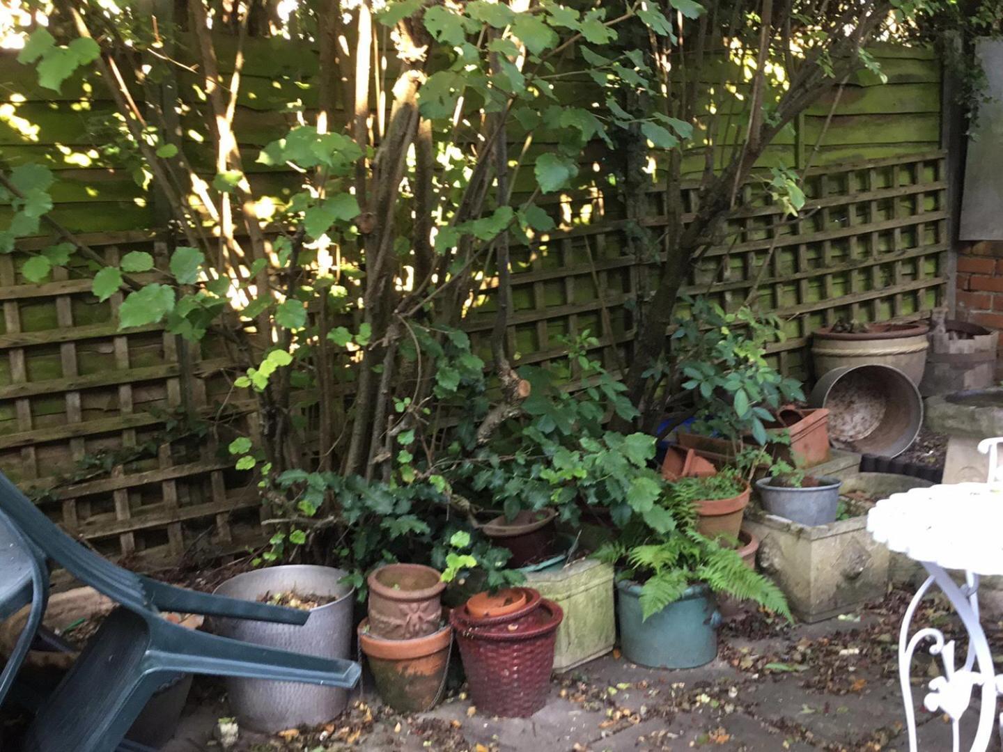 Lowri Cottage Hotel Shenstone Bagian luar foto
